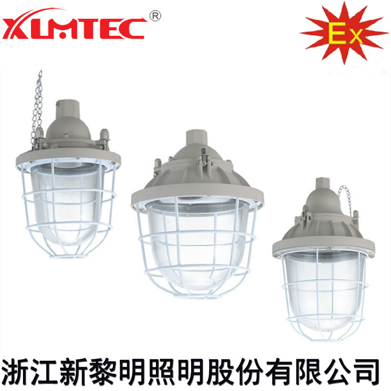 BCd系列防爆灯(IIB)